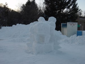 vsf20100130_22