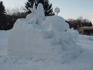 vsf20100130_24